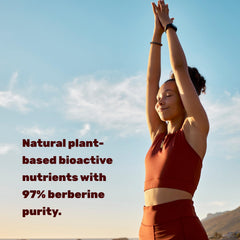 DEAL SUPPLEMENT Berberine Max ingredients label highlights 97% berberine purity
