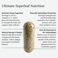 Dear Apothecary Moringa serving spoon with capsules, suggesting easy daily use