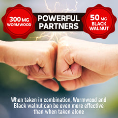 DEDICAD Wormwood capsules pack with measuring scoop for daily use