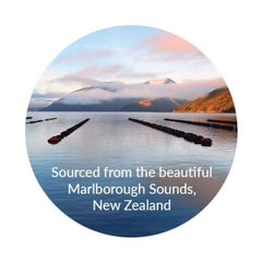 Product packaging highlights Deep Blue Health origin from New Zealand and joint support focus.
