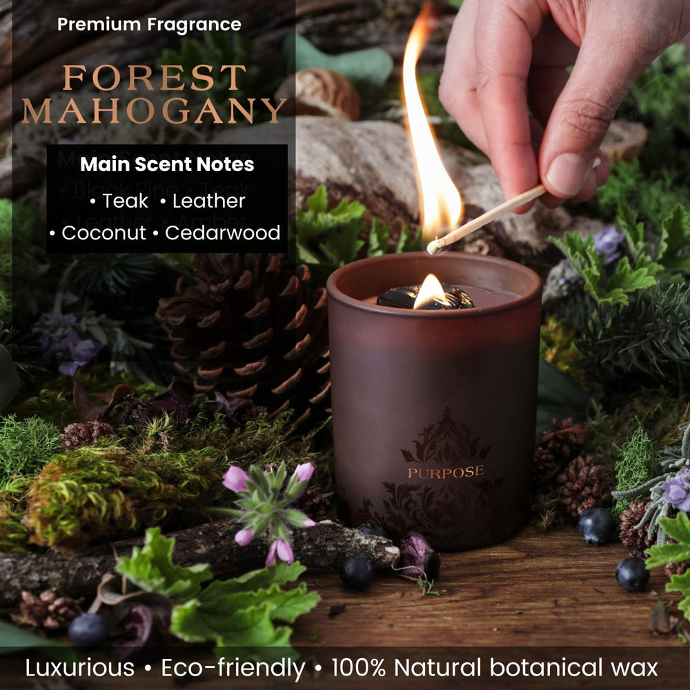 Deep Eden Coconut Soy Wax Blend Candle delivers a clean burn.