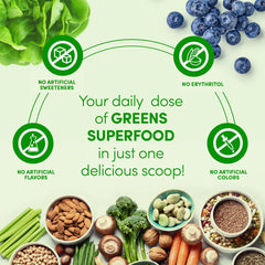 Designer Wellness Greens ingredient powders display antioxidant-rich prebiotic components.