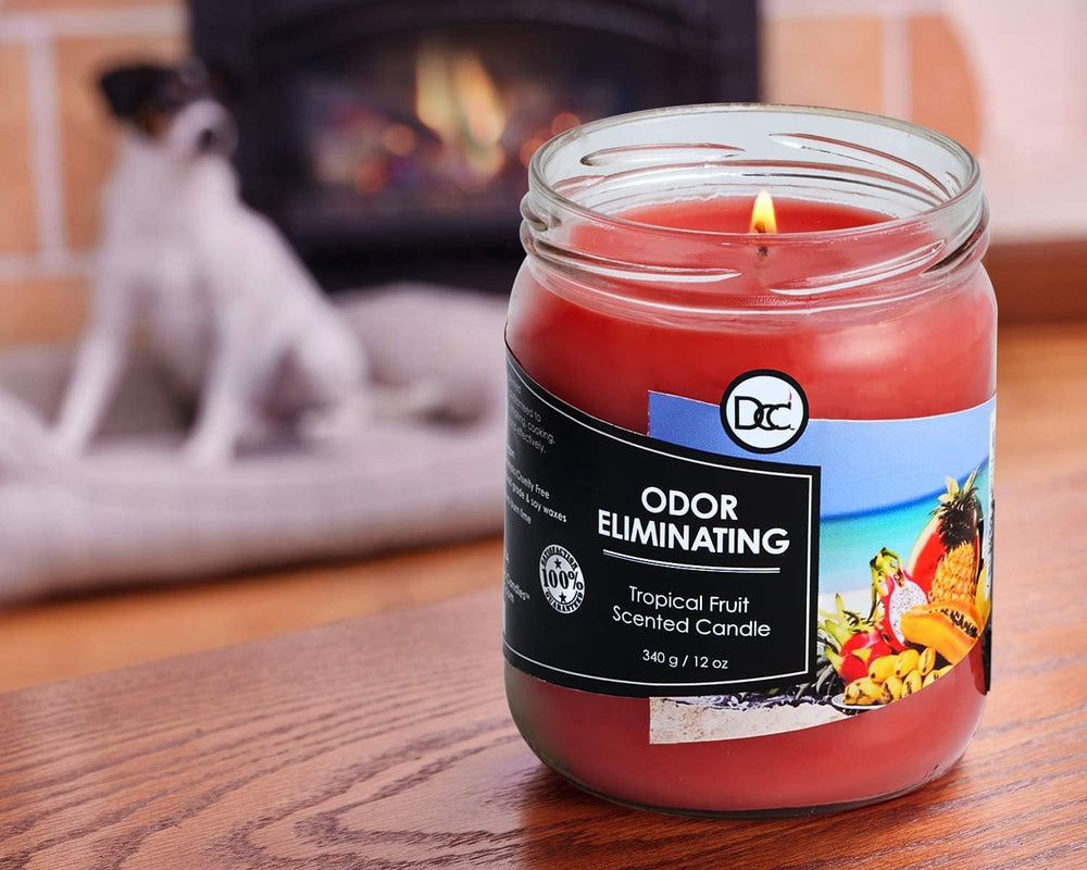 Dianne's Custom Candles tropical fruit two-pack shows lead-free wick for clean burn.