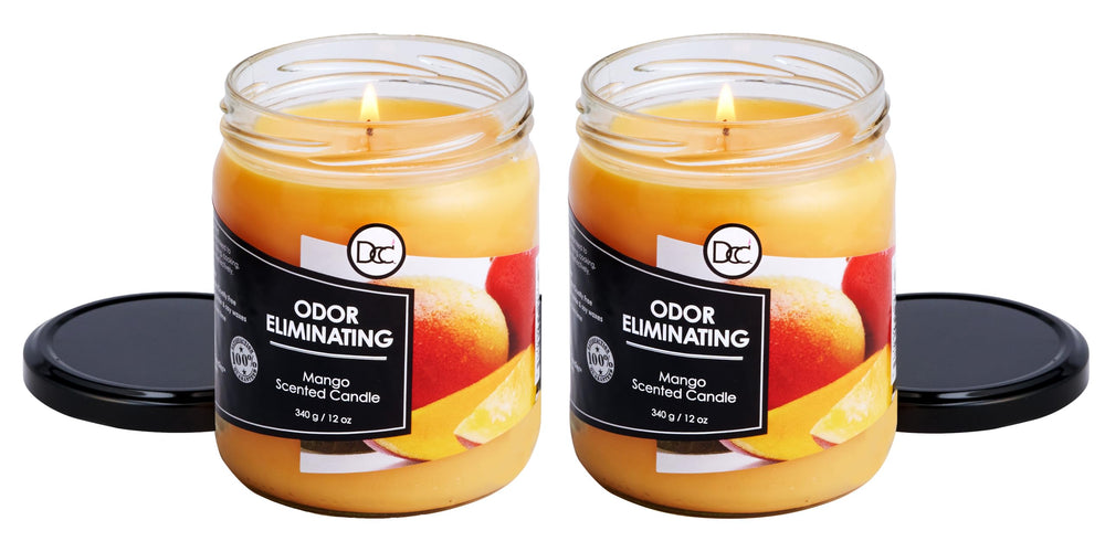 Dianne's Mango Two Pack wax-closeup reveals premium soy blend and clean burn.