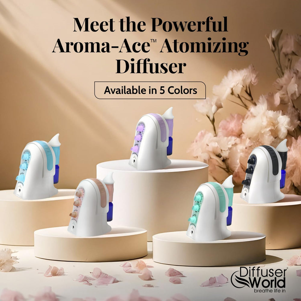 Diffuser World holiday gift packaging ideal for diffuser gifts
