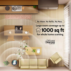 Diffuser World international plug set enables use in U.S., EU, UK, AU