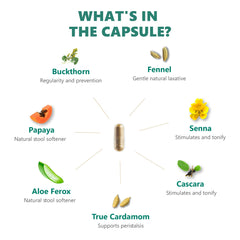 Digestic label ingredients scan emphasizes plant-based formulation and quality manufacturing