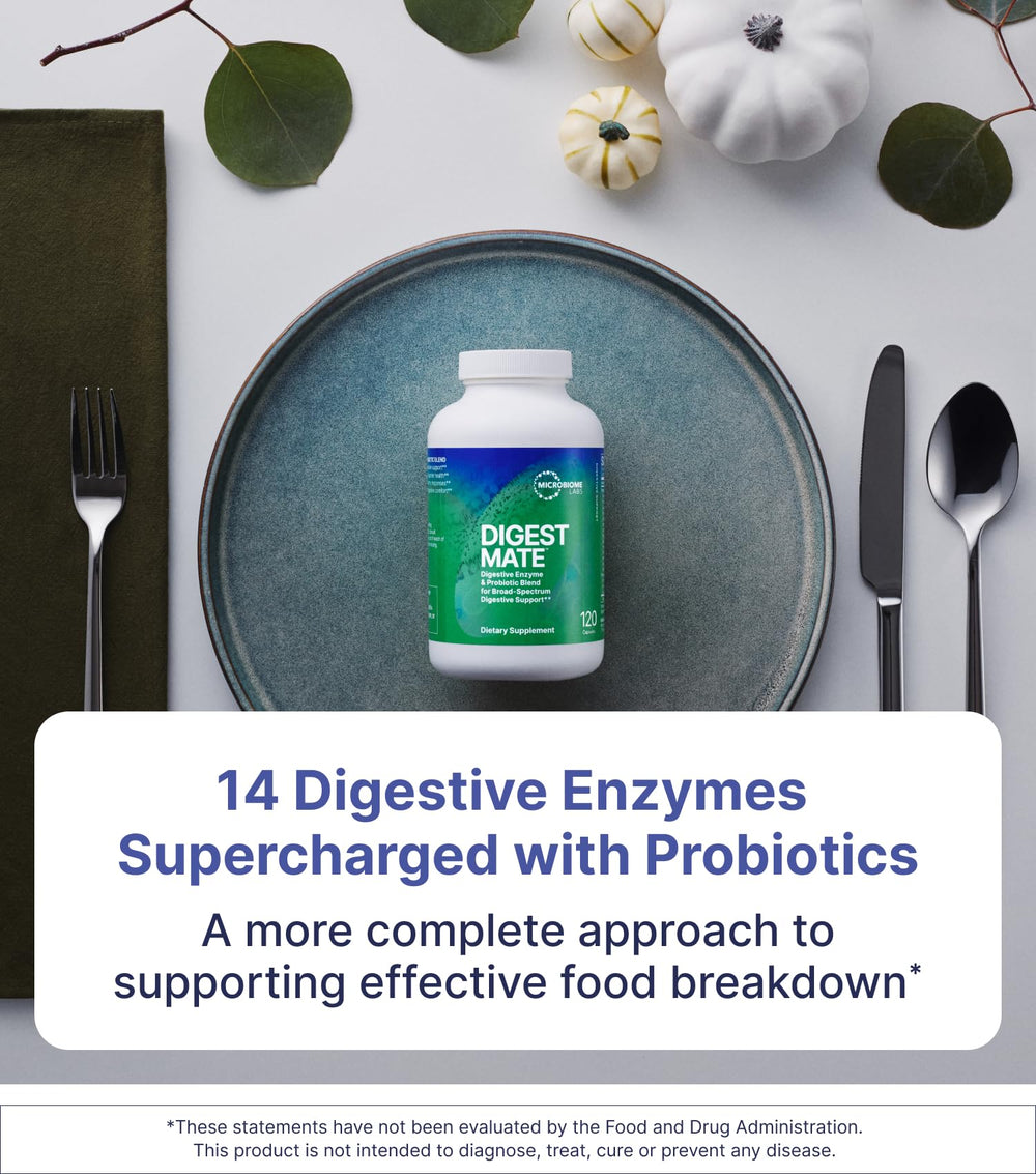 DigestMate spore probiotics graphic illustrating gut balance