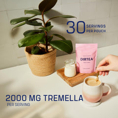 DIRTEA Tremella powder closeup reveals fine texture and premium quality.