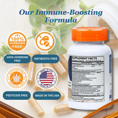 Dislafarm Transfer Factor capsules close-up highlighting natural ingredients.