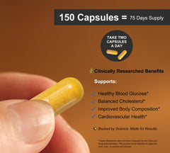 DLNIA Berberine capsule close-up underscores purity and consistent delivery.