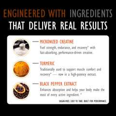 DLNIA vegan creatine gummies highlight sugar-free formula and plant-based ingredients.
