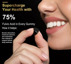 DLNIA Shilajit Gummies Himalayan origin highlights natural mineral profile.