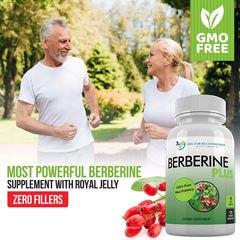 DOCTOR RECOMMENDED SUPPLEMENTS Berberine Plus ingredients glance notes no artificial additives.