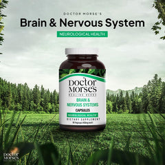 Doctor Morse's Brain capsules close-up highlighting ginkgo and astragalus for immune support.