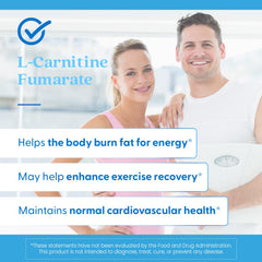 Doctors Best L-Carnitine Fumarate Krebs cycle illustration suggests energy production