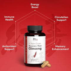 Dongjieum six-year root ginseng powder close-up signaling premium quality.