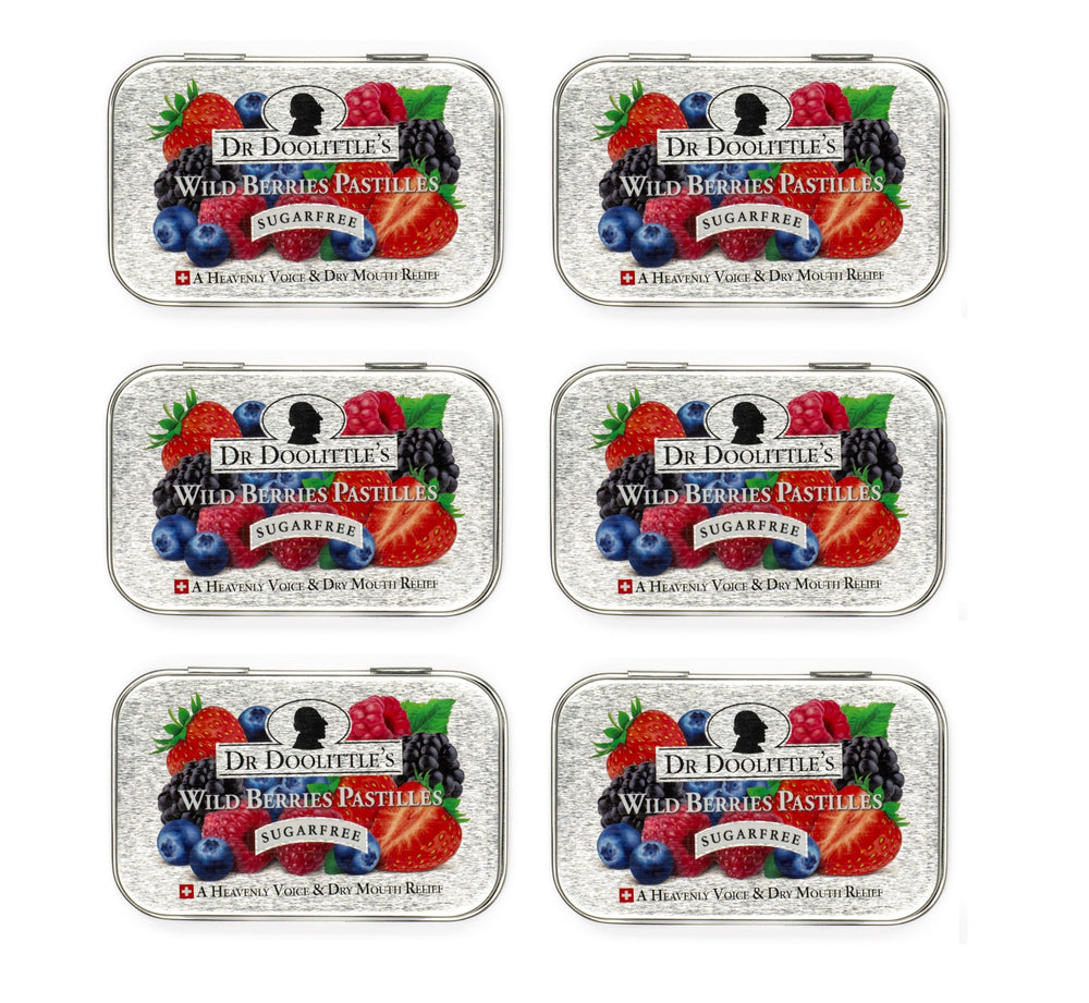DOOLITTLE Wild Berries pastilles tin front shows compact, travel-friendly relief option.