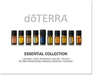 doTERRA Melaleuca 5ml bottle closeup highlighting everyday freshness