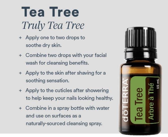 doTERRA Melaleuca oil reflects traditional Aboriginal use and versatile aroma benefits.