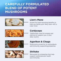 DR. EMIL NUTRITION 10 Mushroom ingredients panel highlighting ten mushroom extracts