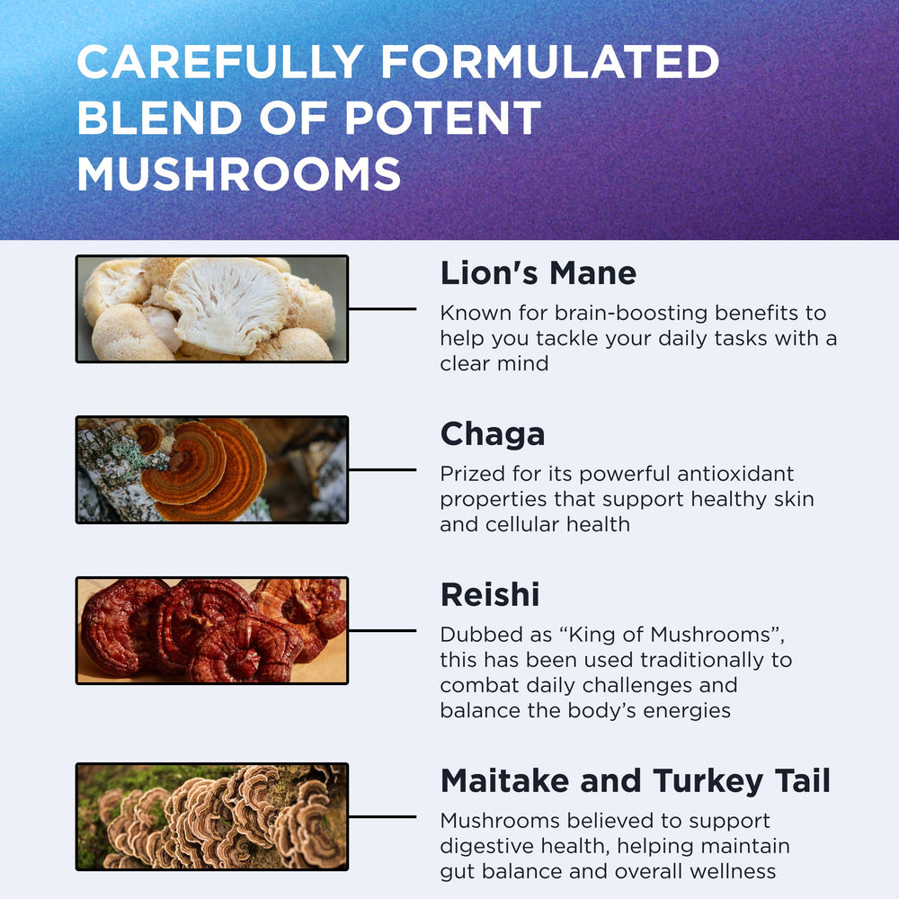 DR. EMIL NUTRITION Hot water extraction preserves nutrients in Lion’s Mane powder.