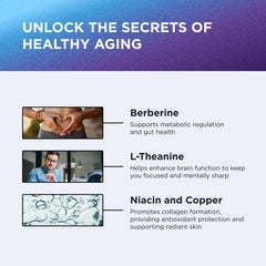 NAD+ Boost Niacin ingredient supporting energy metabolism