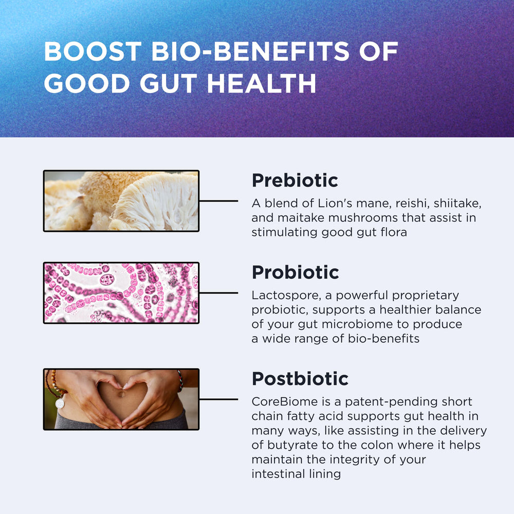 DR. EMIL NUTRITION Total Gut Complex visual of digestive wellness concept