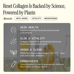 Dr.Eve Seedlab morning-routine supports a simple daily ritual for radiance.