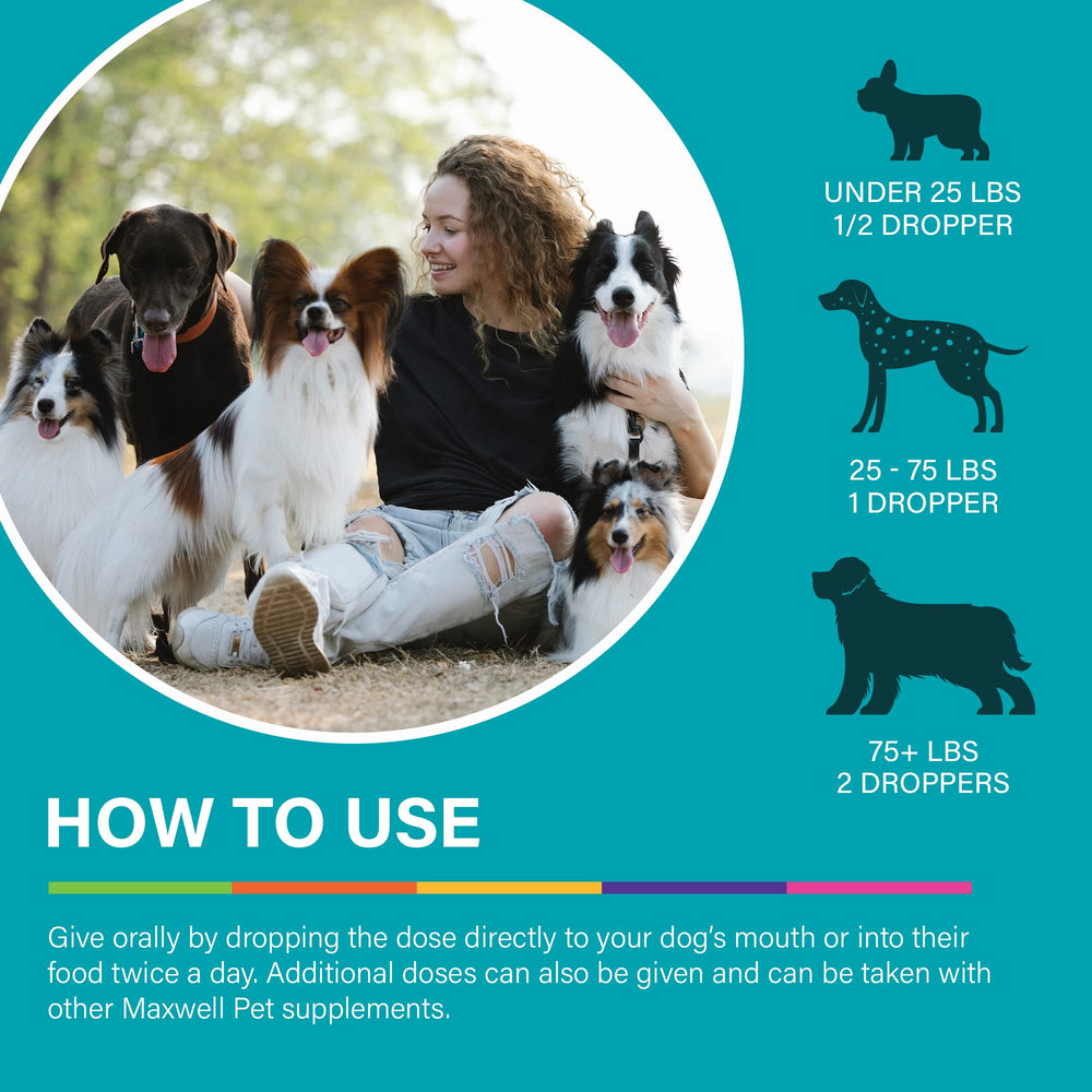 DR.GARBER'S Maxwell Pet hero image portrays a calm dog thriving with joint support.