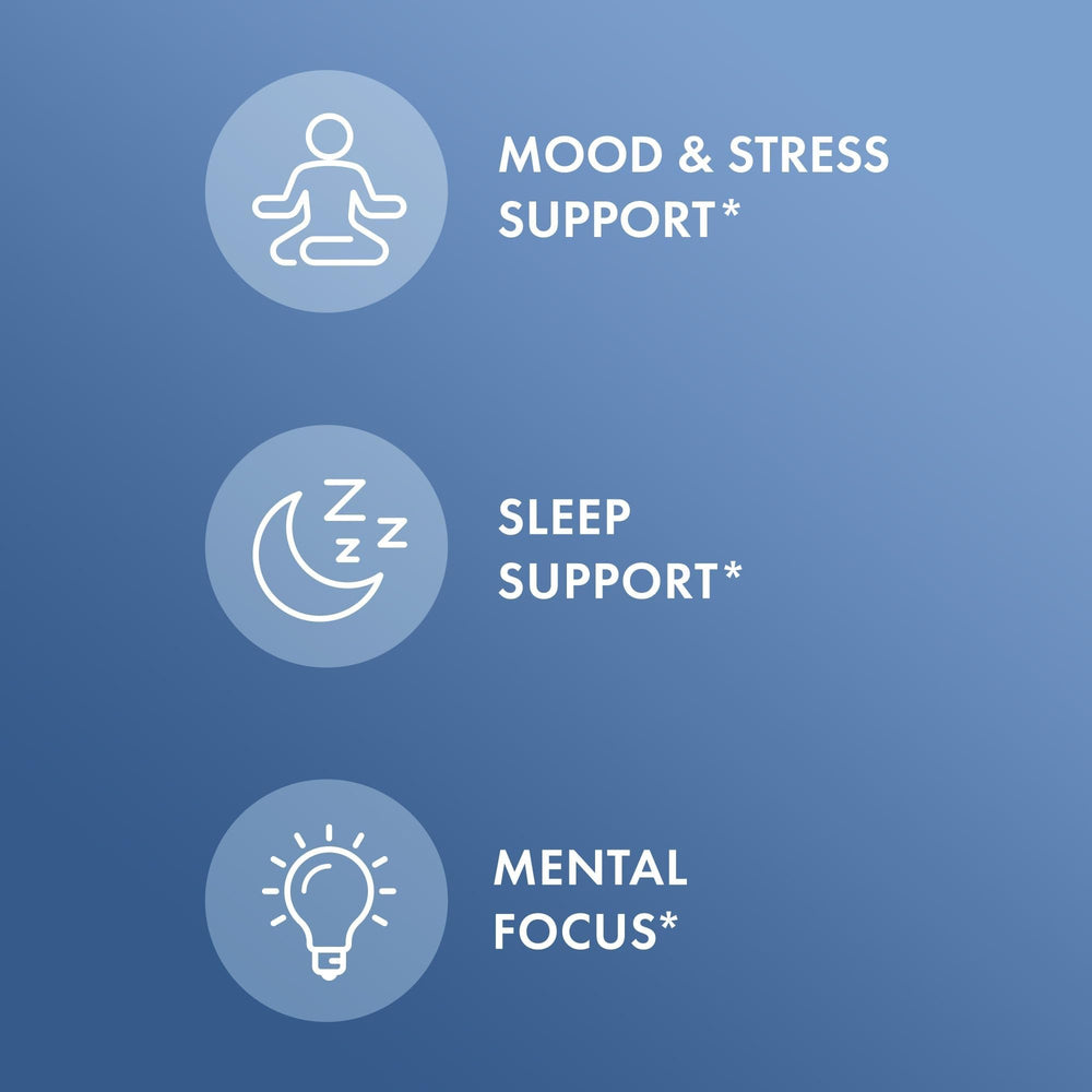 Nighttime routine scene with Dr. Mercola L-Theanine Plus GABA for rest support.