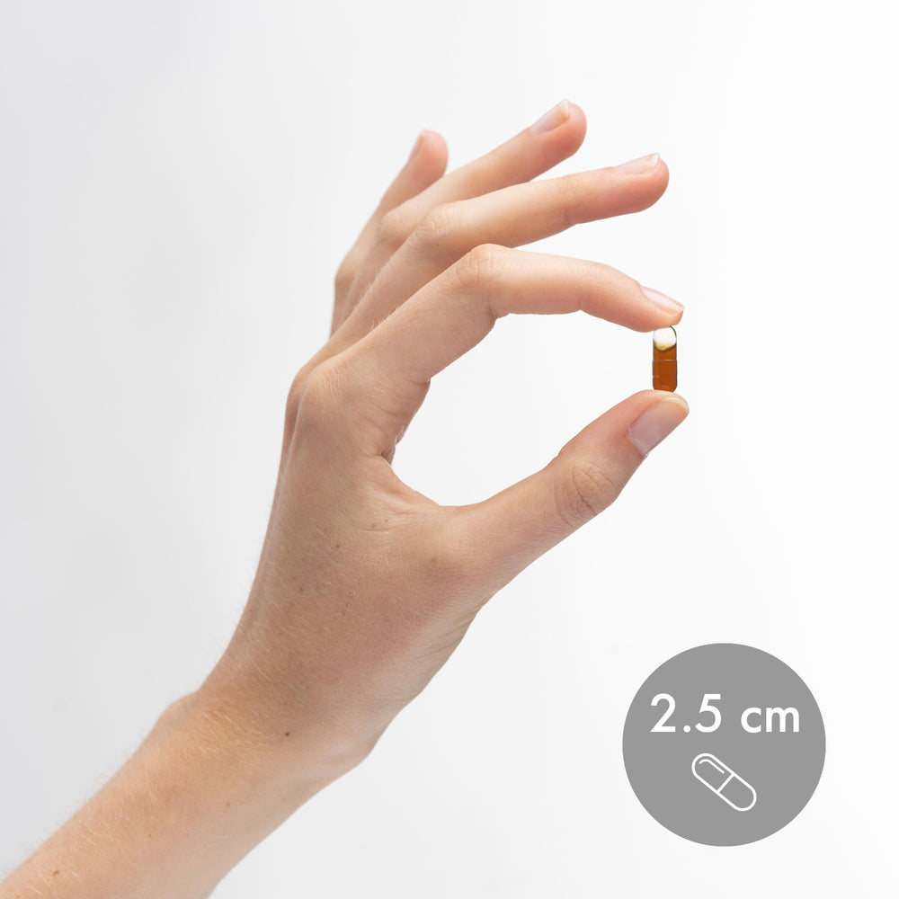 Sunflower lecithin-based phospholipids in Dr. Mercola Liposomal Vitamin D3 for absorption