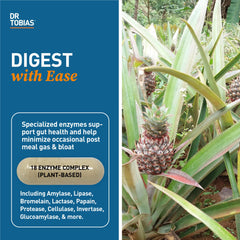Dr. Tobias Digestive Enzymes capsules in hand for meal-time support.