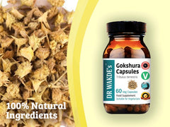 DR WAKDE'S Gokshura capsules in hand showing convenient 60-capsule bottle.
