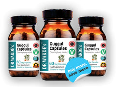 DR WAKDE'S Guggul vegan capsules in hand for daily routine