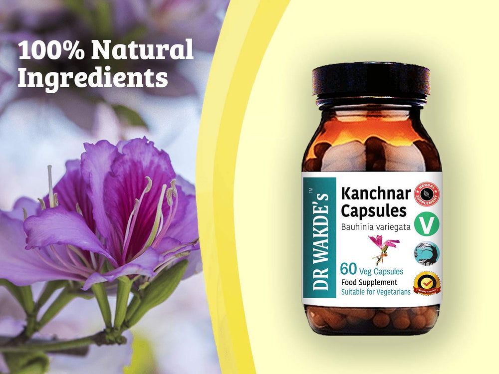 Sustainable packaging shown for DR WAKDE'S Kanchnar capsules.