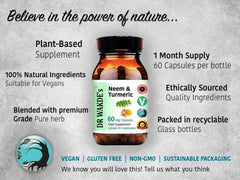 DR WAKDE'S Neem leaves and turmeric root imagery, Ayurvedic heritage.
