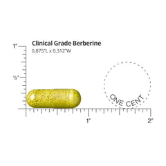 DR. WHITAKER Berberine ingredients label for transparency and quality.