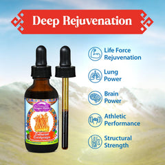 Dragon Herbs Cultured Cordyceps Drops dropper cap ready for use in tea, coffee, or water