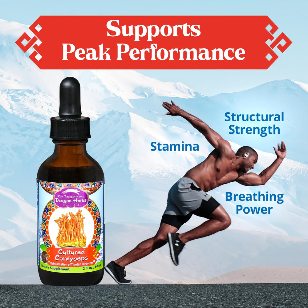 Dragon Herbs Cultured Cordyceps Drops thick texture suggests high potency and full spectrum actives