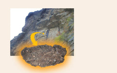 Dragon Herbs High Mountain Shilajit capsules for a simple daily ritual.