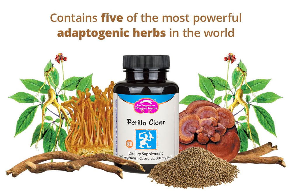 Dragon Herbs Perilla Clear Capsules ingredient blend with perilla seed oil and adaptogens