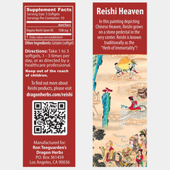 Dragon Herbs Reishi Spore Oil golden oil pour highlights concentration.