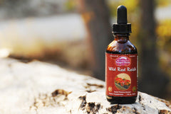 Dragon Herbs Wild Red Reishi Drops label closeup highlights purity and origin.