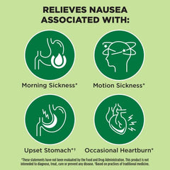 Dramamine Ginger Chews morning sickness use caption highlights twice-daily dosing guidance.