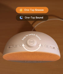 Dreamegg Sunrise 1 Pro color light options tailor the ambience.