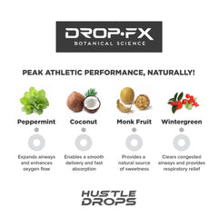 DROP FX Hustle Drops ingredients showcase coconut and monkfruit for smooth delivery.