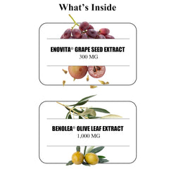 Durable Blood Pressure Enovita grape seed extract 85% OPCs emphasis.