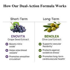 Durable Blood Pressure olive leaf extract 1000 mg note emphasizes potency.