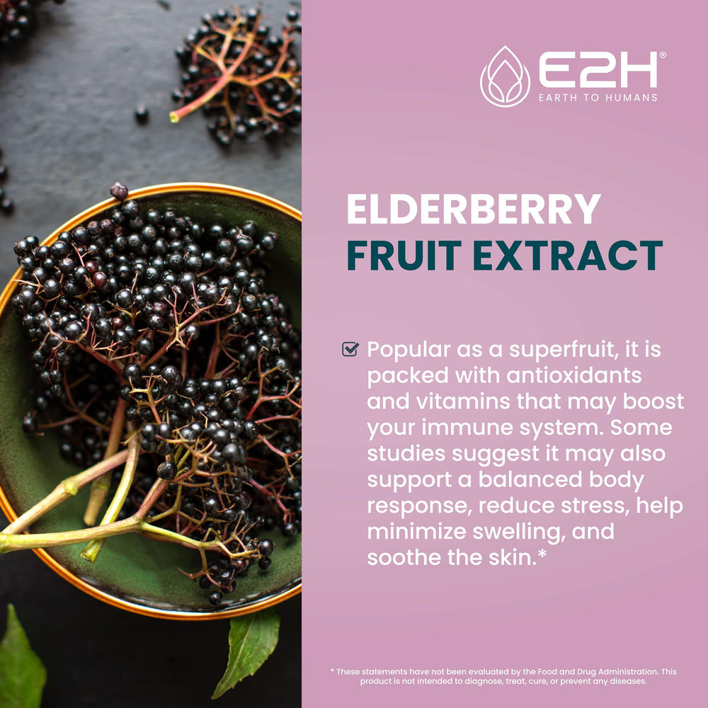 E2H Elderberry Syrup ingredients highlight organic elderberries and antioxidants